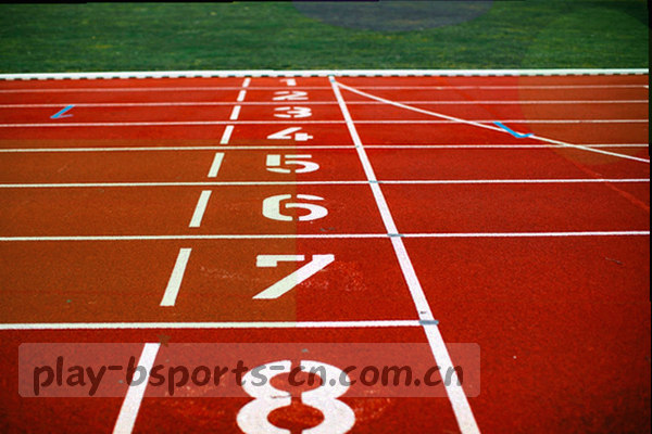 BSPORTS中文站胜率索引覆盖五大主流赛事的胜率变化折线图